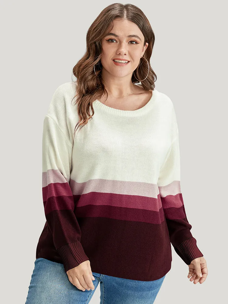 Ombre Contrast Pointelle Knit Round Neck Knit Top
