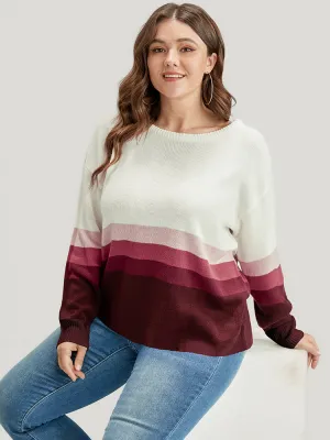 Ombre Contrast Pointelle Knit Round Neck Knit Top