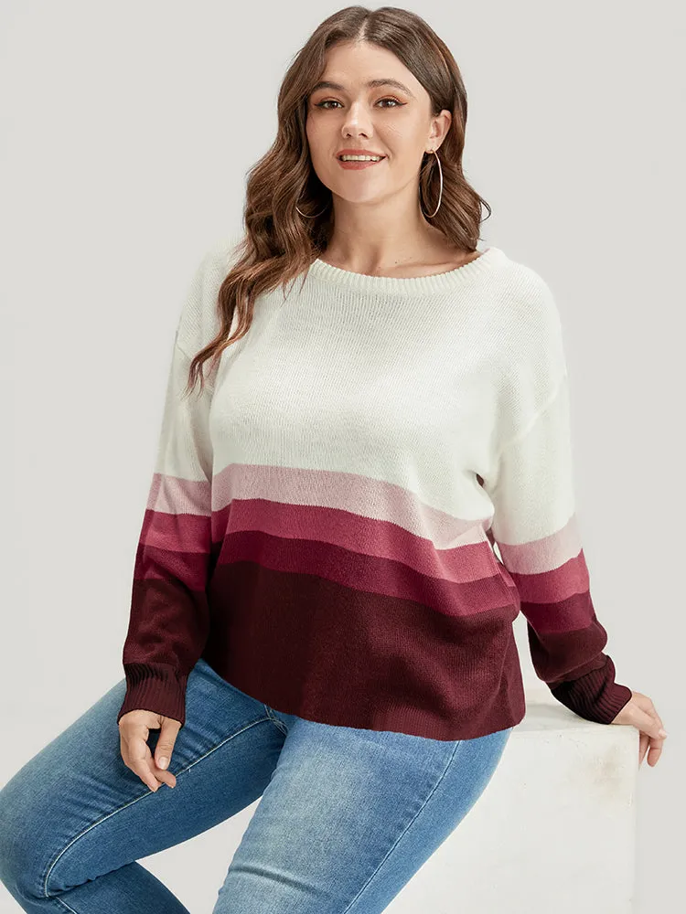 Ombre Contrast Pointelle Knit Round Neck Knit Top