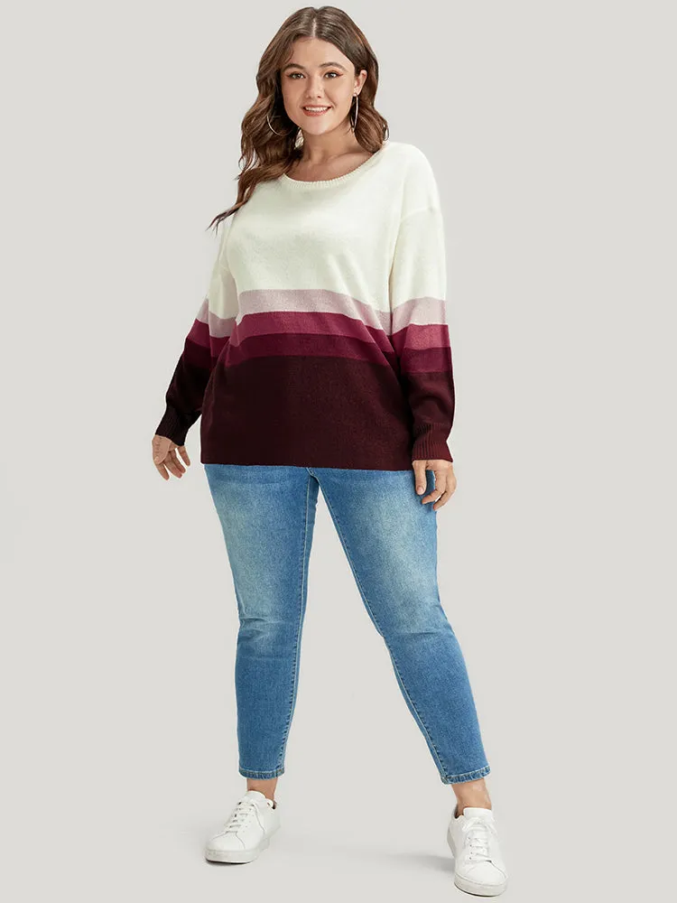 Ombre Contrast Pointelle Knit Round Neck Knit Top
