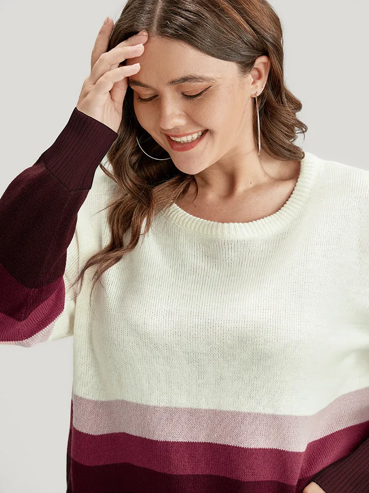 Ombre Contrast Pointelle Knit Round Neck Knit Top