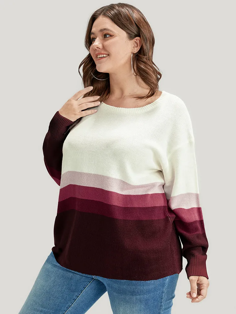 Ombre Contrast Pointelle Knit Round Neck Knit Top
